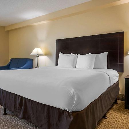 Comfort Inn International Drive Orlando Oda fotoğraf