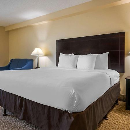 Comfort Inn International Drive Windermere Oda fotoğraf