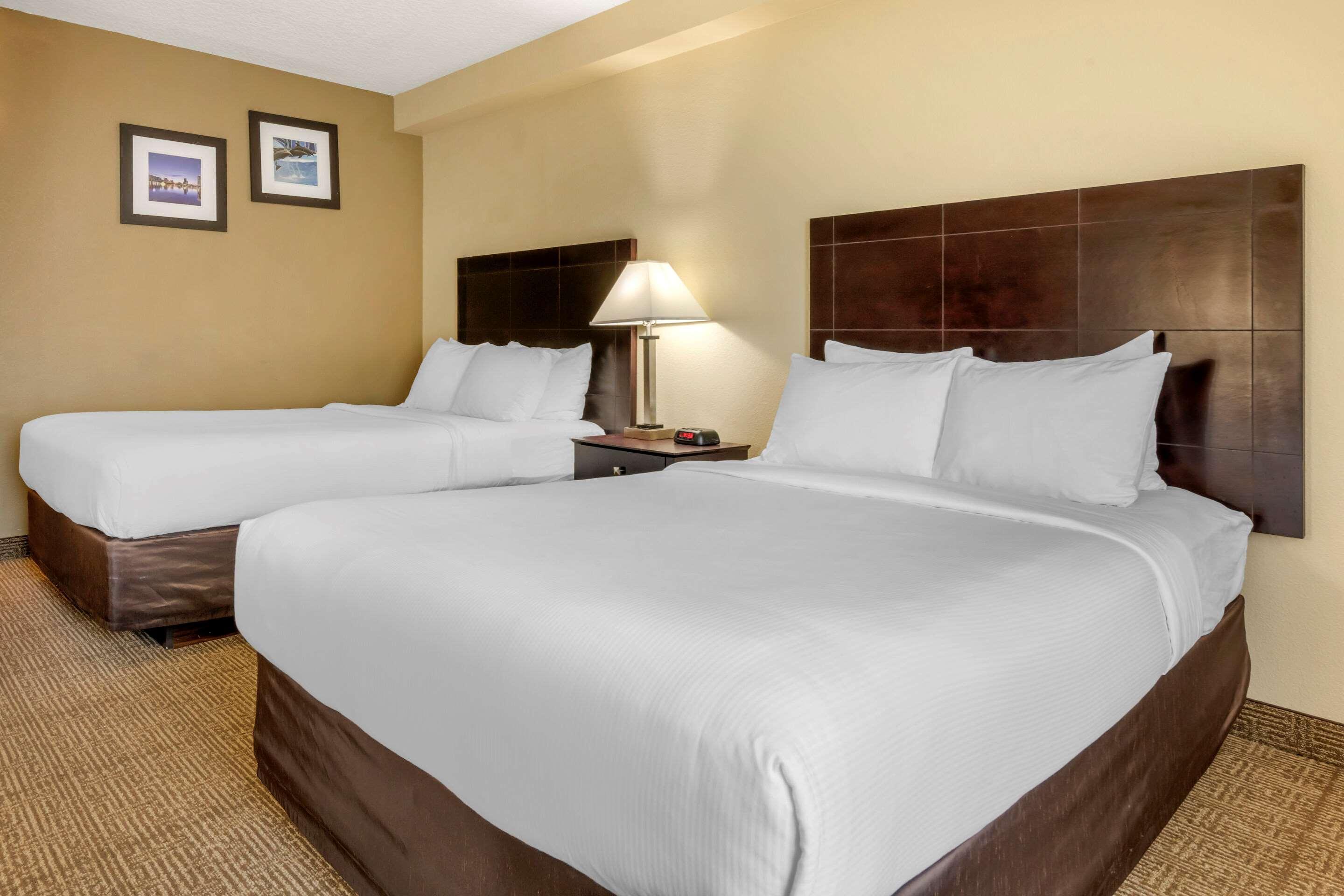 Comfort Inn International Drive Orlando Dış mekan fotoğraf