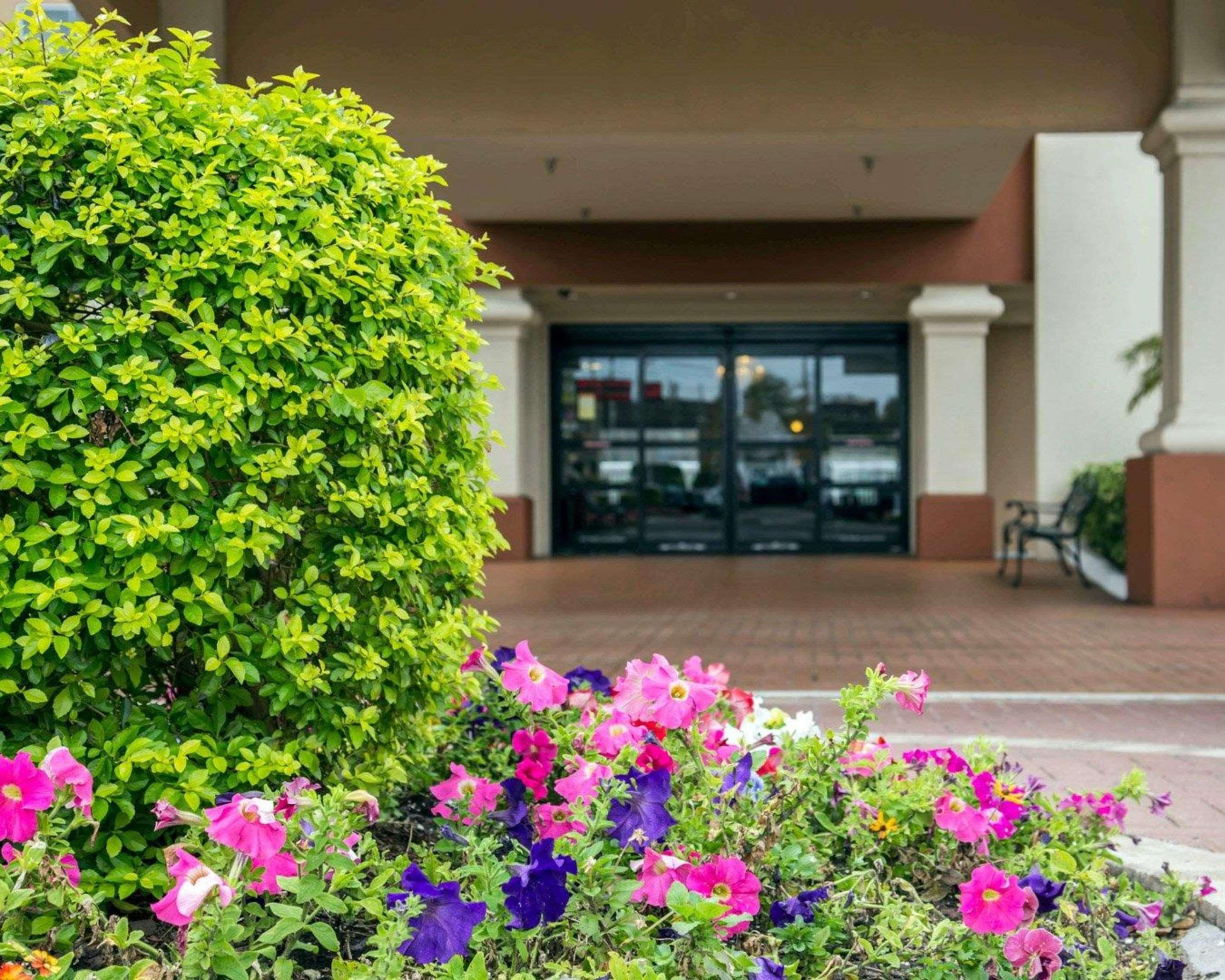 Comfort Inn International Drive Windermere Dış mekan fotoğraf
